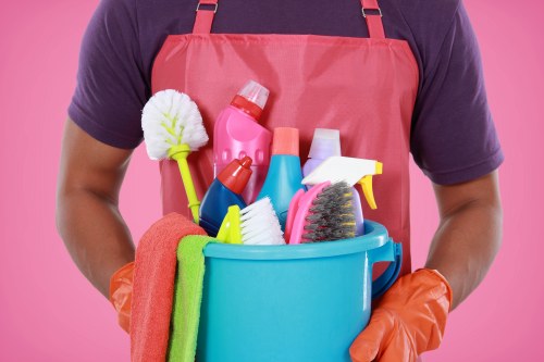Professional carpet cleaning in Bayswater in a bright living room