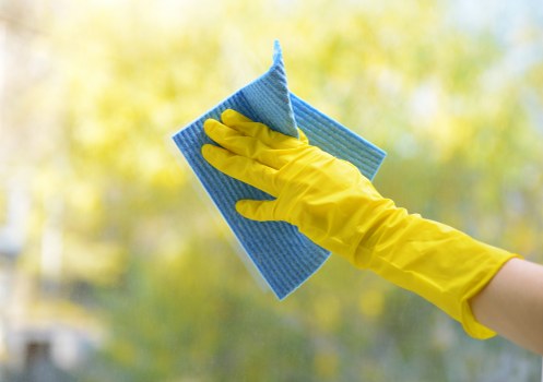 Professional cleaner in Bayswater maintaining a tidy living room