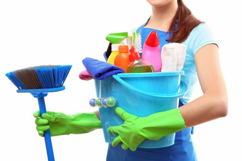 Room-by-room carpet cleaning service