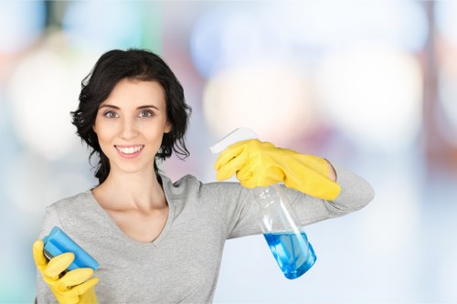 Bayswater cleaning service tools and supplies ready for use