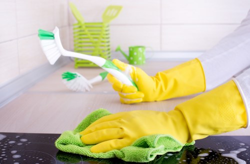 Bayswater cleaning team providing detailed home cleaning services