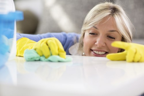 Technician performing oven cleaning in Bayswater