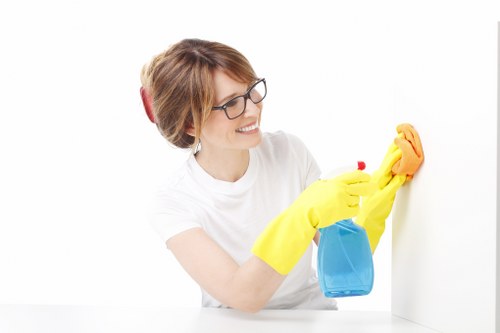 Supervisor reviewing health and safety procedures for carpet cleaning operations