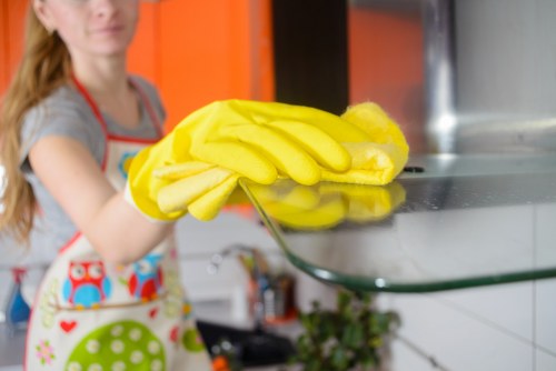 Eco-friendly home cleaning in Bayswater suburban house