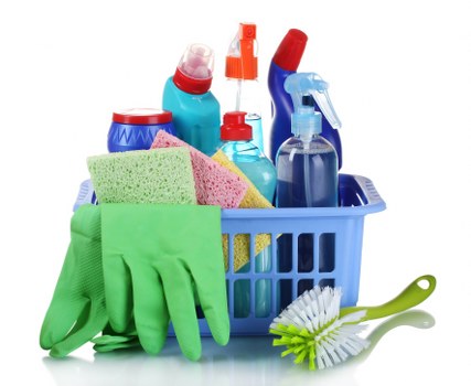 Cleaner dusting and wiping surfaces in Bayswater