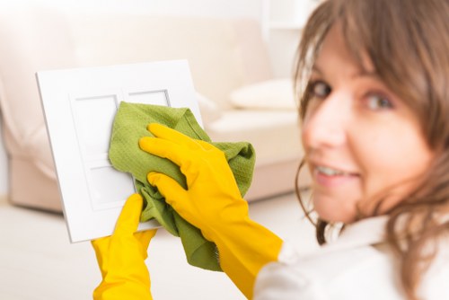 Stain removal and deep cleaning for upholstery in Bayswater homes