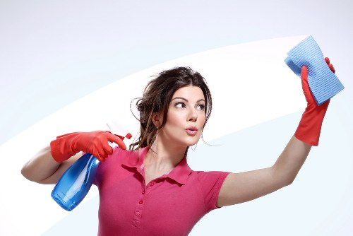 Deep oven cleaning service in Bayswater home